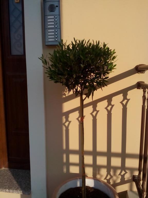 Kavadias Apartments Vasiliki Zewnętrze zdjęcie